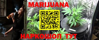 тгк Обь