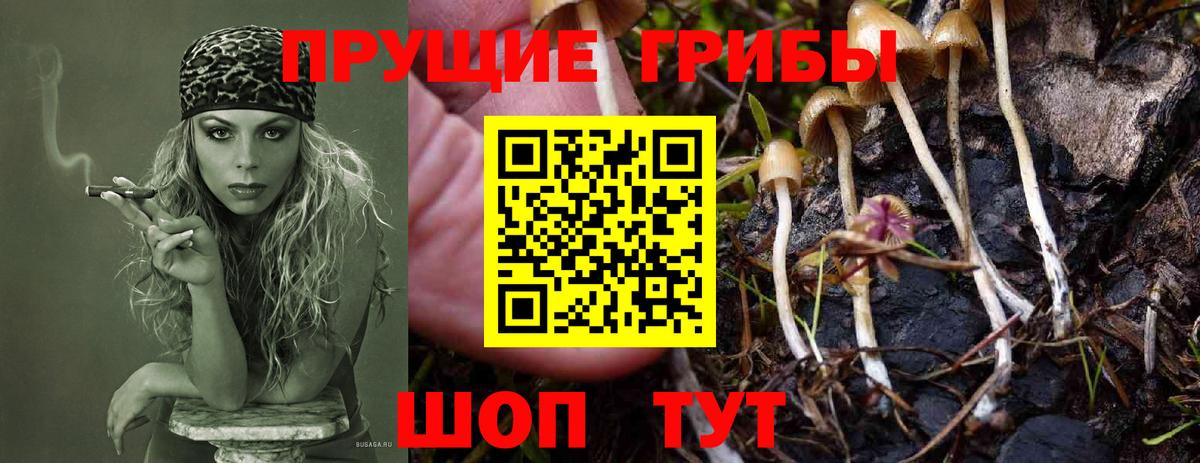 хочу   Галлюциногенные грибы Magic Shrooms  Вход с VPN  Троицк 